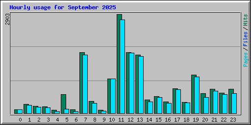 Hourly usage for September 2025