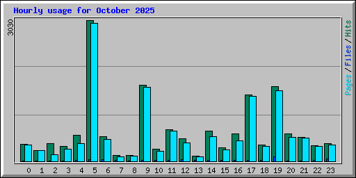 Hourly usage for October 2025